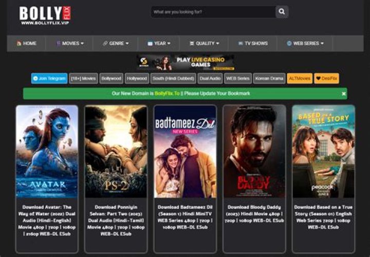 Bollfilx: Your Ultimate Destination for Bollywood Entertainment